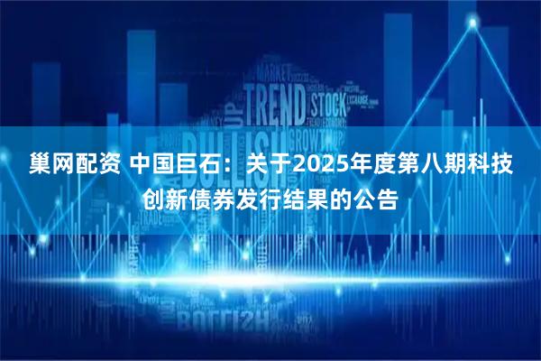 巢网配资 中国巨石：关于2025年度第八期科技创新债券发行结果的公告