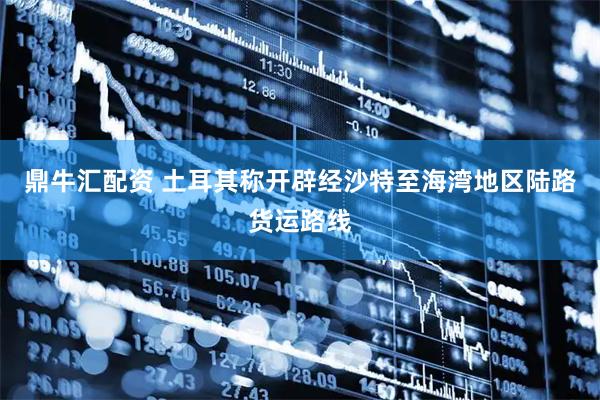 鼎牛汇配资 土耳其称开辟经沙特至海湾地区陆路货运路线